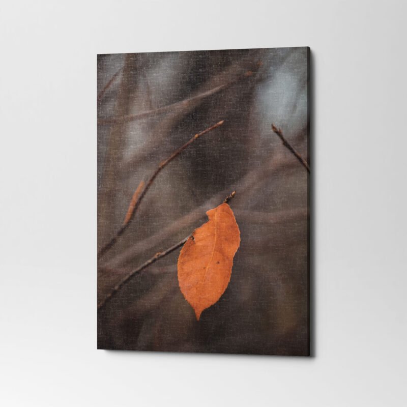 Brown Leaf on a Branch Canvas Wall Art - Image 3