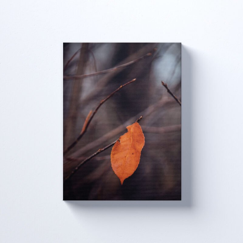Brown Leaf on a Branch Canvas Wall Art - Image 2
