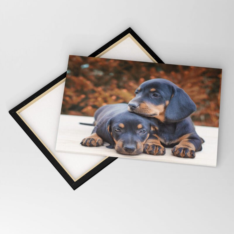 Cute Beagle small Scent Hound Dogs Canvas Wall Art - Image 4