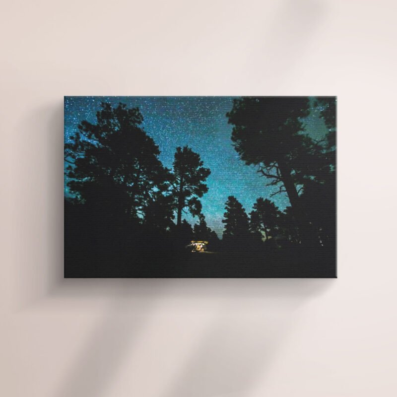 low angle photo of forest under clear sky during nighttime Canvas Wall Art - Image 2