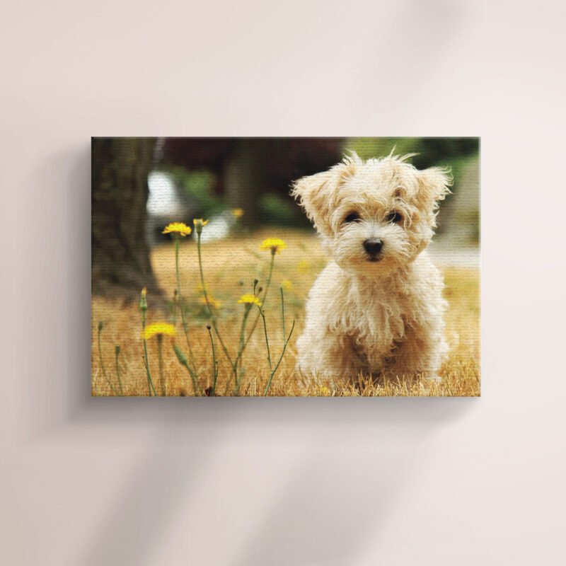 Cute White Puppy In The Garden Canvas Wall Art - Image 2